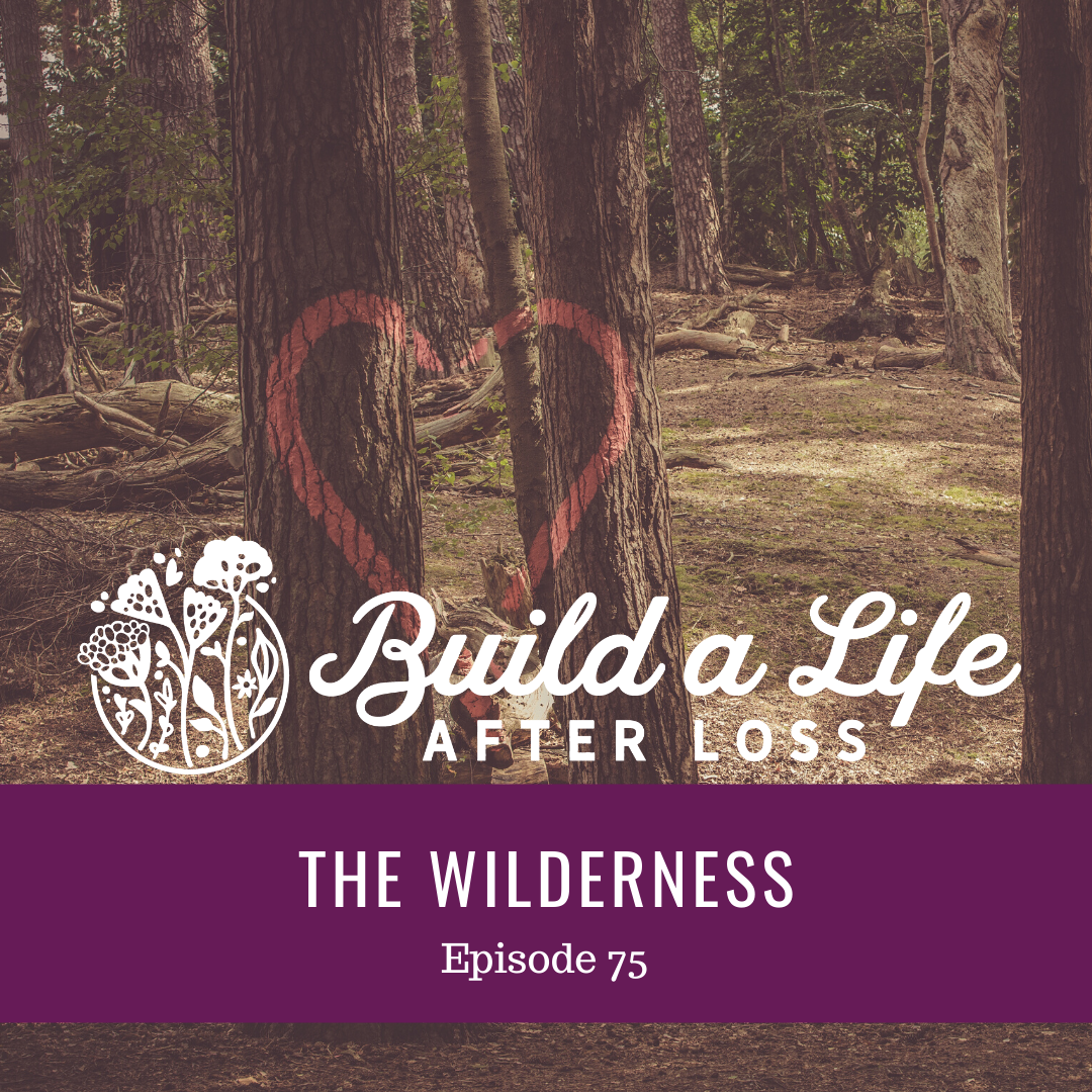 julie cluff, build a life after loss podcast, ep 75 the wilderness