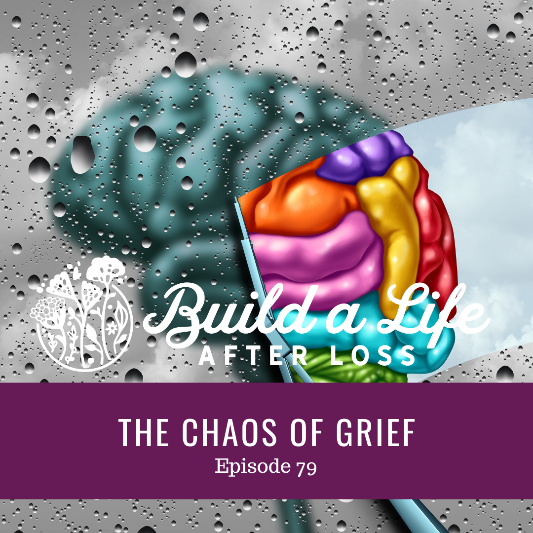 Featured image for “Ep #79 The Chaos of Grief”