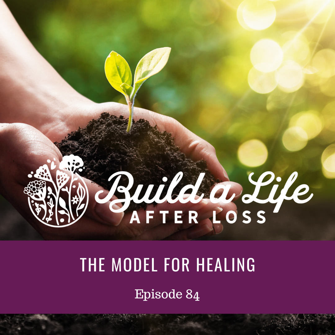 Featured image for “Ep # 84 The Model for Healing”