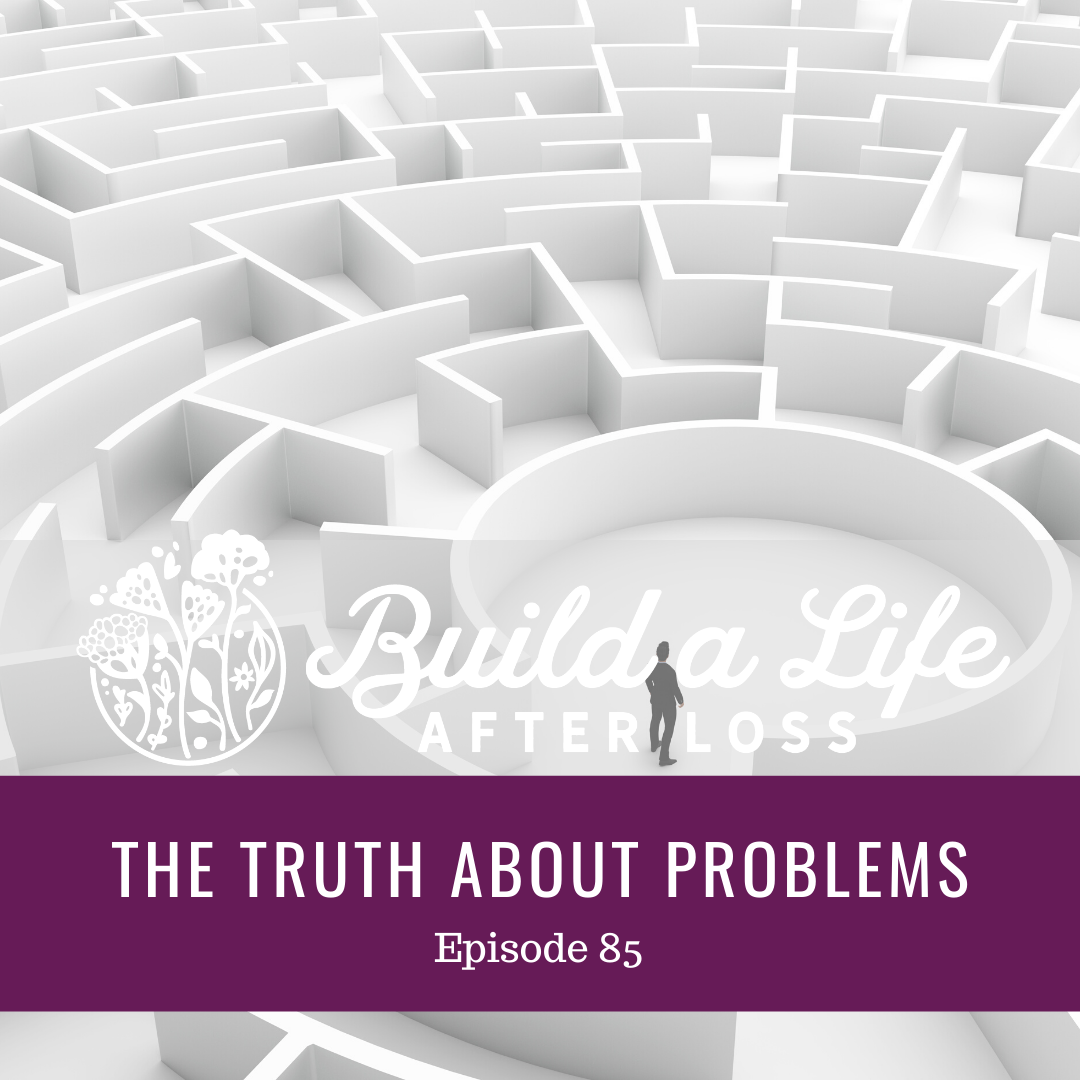 Featured image for “Ep #85 The Truth About Problems”