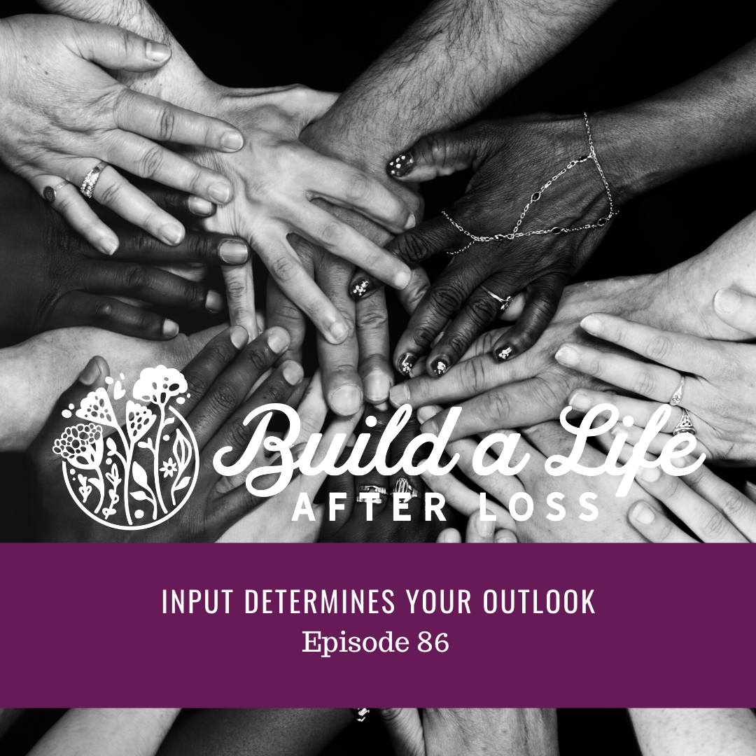 Featured image for “Ep #86 Input Determines Your Outlook”