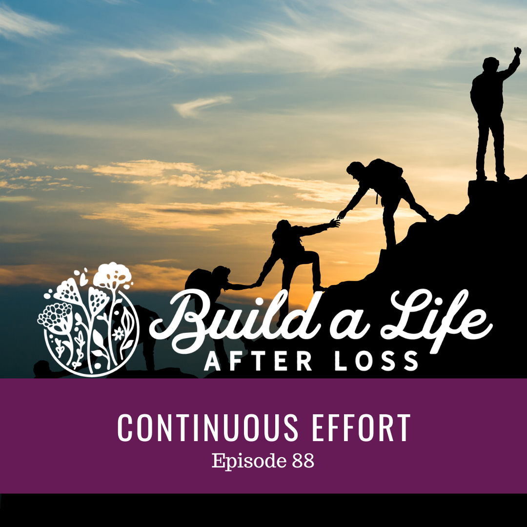 Featured image for “Ep #88 Continuous Effort”