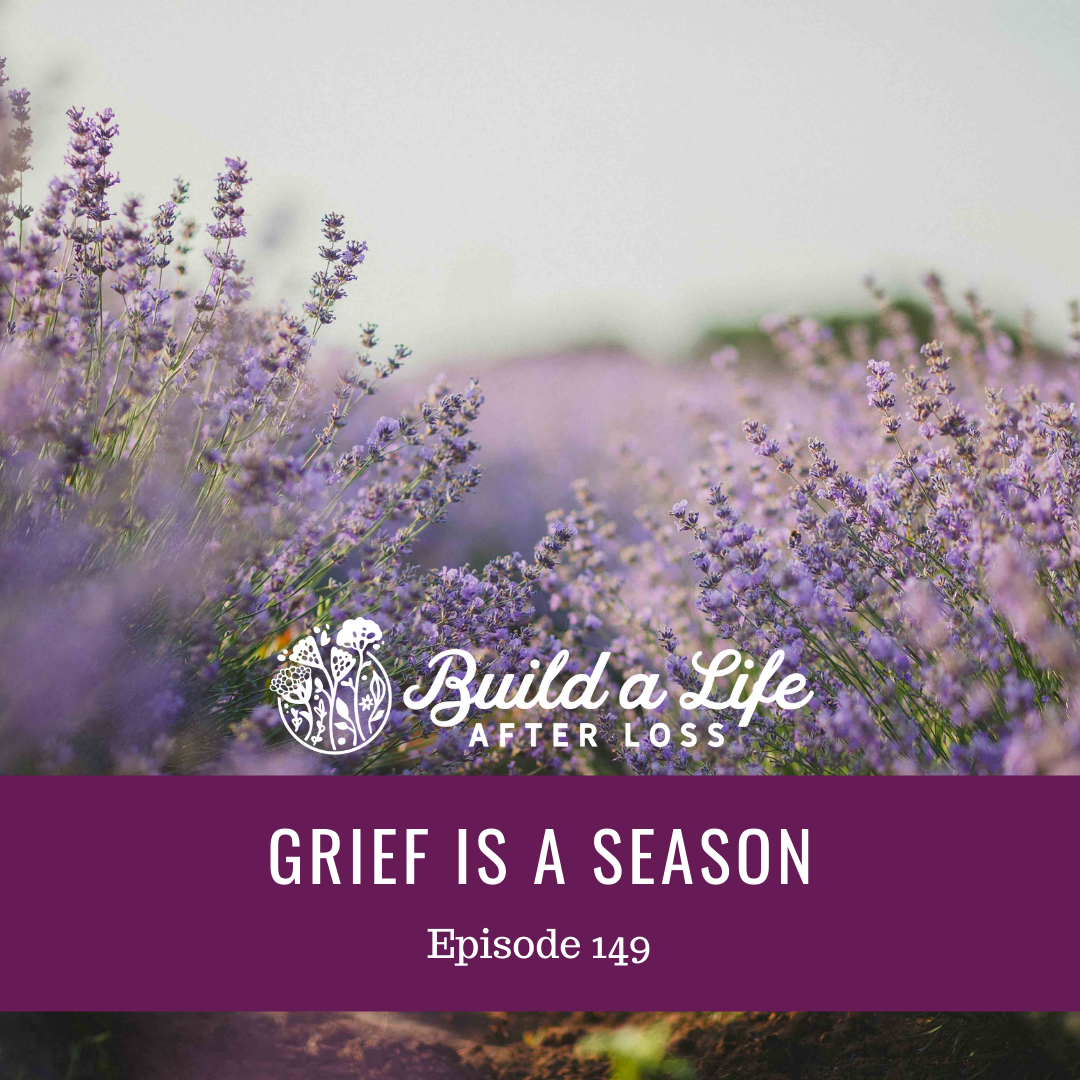 julie cluff, build a life after loss podcast ep 149 grief is a season